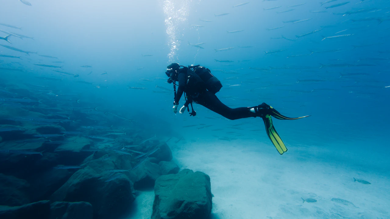 Diver swimming over a sandy bottom in blue water