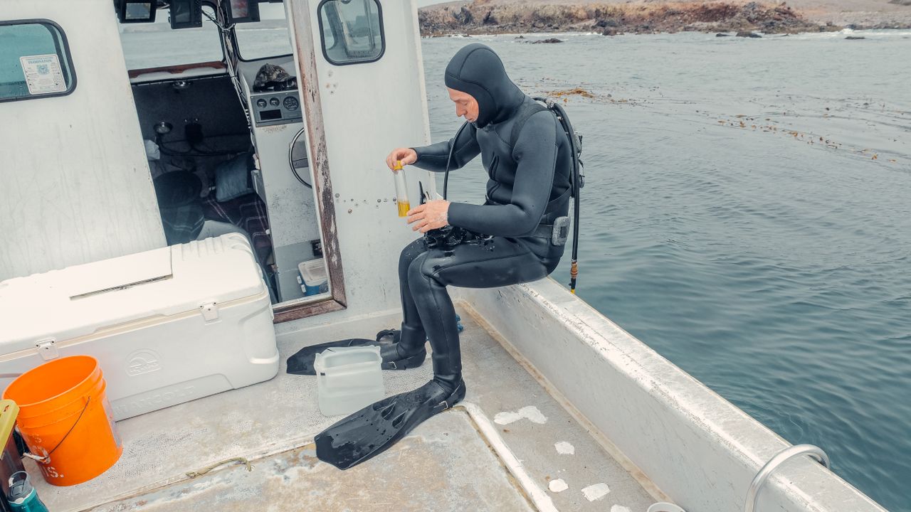 Diver in a hooded suit sitting on a boat