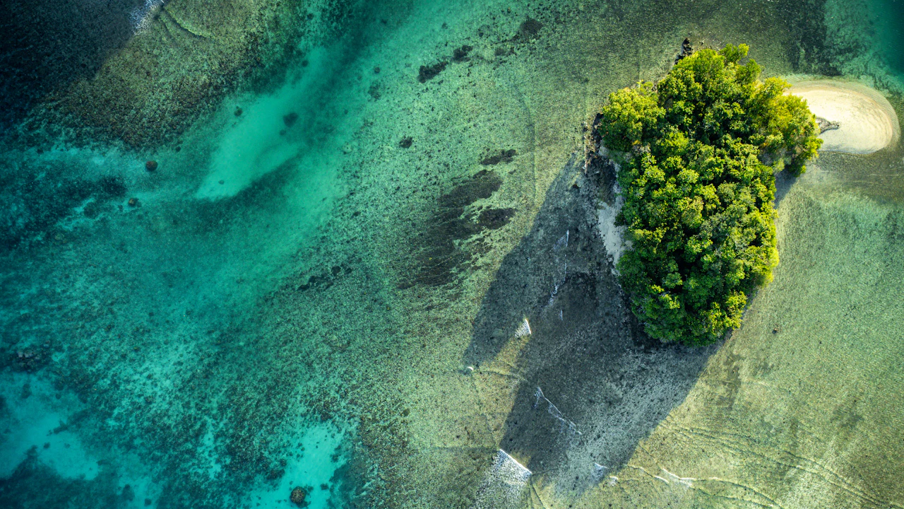 Aerial view of a shallow reef patch in turquoise water