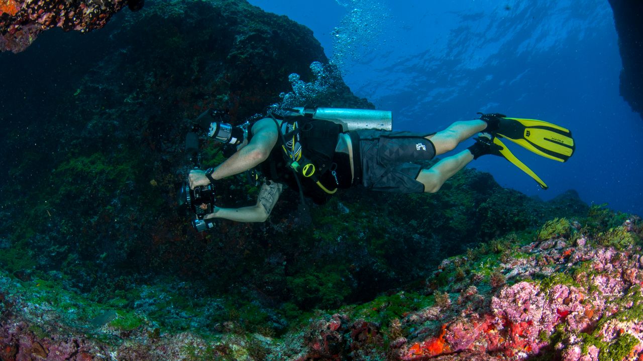Scuba diver in a wetsuit swimming above a colorful reef